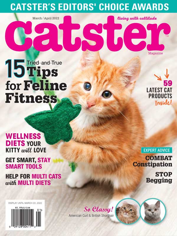 Catster magazine cover