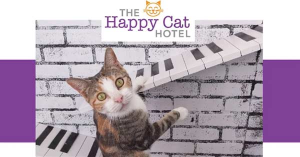 happy cat logo with cat and piano keys
