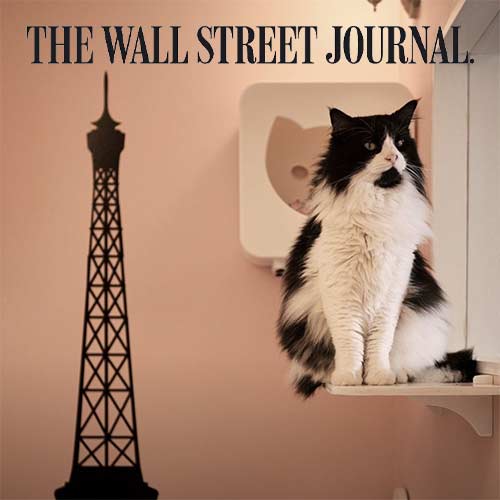 Wall Street Journal Happy Cat Hotel article