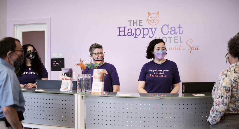 Happy Cat Hotel Checkin Desk