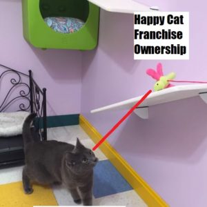 Happy Cat Franchise Opportunity