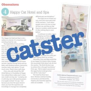 Catster magazine article