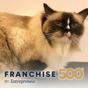 happy cat in franchise 500 article
