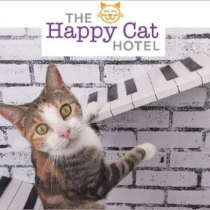 happy cat logo with cat and piano keys
